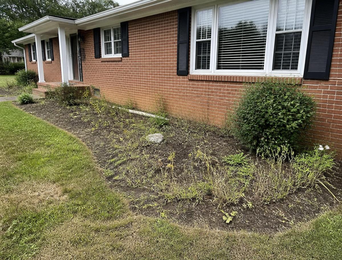 Before — Flower bed refresh & mulch